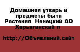 Домашняя утварь и предметы быта Растения. Ненецкий АО,Харьягинский п.